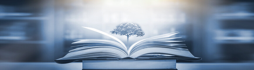 关于清江古河床的诗句(清江如练的诗句有那些)