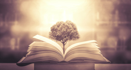 共情能力过强是好事吗？