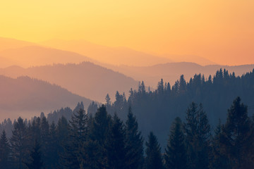 关于“舍得”的名言