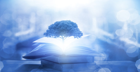 关于快捷键的 问题？