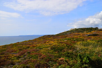 关于中国古典诗词意境之美的文章