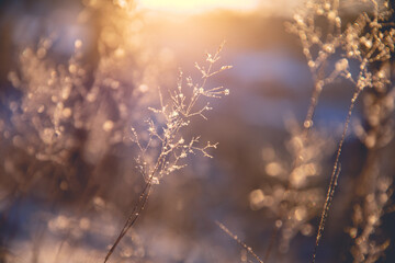 关于中秋最佳10首古诗