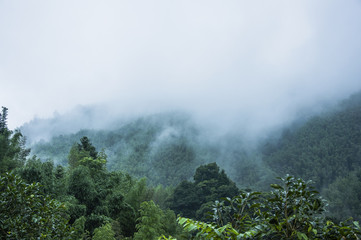 关于中国古典诗词意境之美的文章